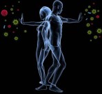 immune-system.jpg